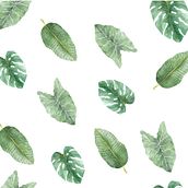 Meu projeto do curso: Aquarela botânica para estampados. Traditional illustration, Pattern Design, Watercolor Painting, and Botanical Illustration project by Patrícia de Oliveira Dias - 07.21.2021