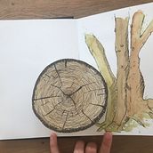 Mein Kursprojekt: Interaktive Pop-up-Bücher: Gestalte Papierwelten. Arts, Crafts, Editorial Design, Paper Craft, and Bookbinding project by Valeria Klein - 07.21.2021
