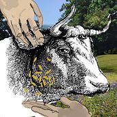 My project in Illustration and Digital Collage for Children's Stories course. Projekt z dziedziny Design, Trad, c, jna ilustracja,  Kolaż, Ilustracja c, frowa, Ilustracje dla dzieci, Projektowanie c i frowe użytkownika Patricia - 22.07.2021