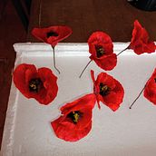 Amapolas , Lobelias y Mas.  projeto de Noemí Cortés - 22.07.2021