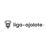 Identidad Gráfica de la Liga Ajolote. Br, ing & Identit project by Jesús Antonio Sánchez Jiménez - 07.20.2021