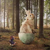 Mi Proyecto del curso: Fotomontaje surrealista con Photoshop . Un proyecto de Post-producción fotográfica		, Retoque fotográfico, Fotografía digital, Composición fotográfica y Fotomontaje de samanthavr13 - 23.07.2021
