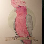 Mi Proyecto del curso: Ilustración naturalista de aves con acuarela. Traditional illustration, Watercolor Painting, Realistic Drawing, and Naturalistic Illustration project by jazmin.garcia.jimenez - 07.24.2021
