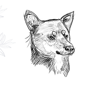 My project in Daily Sketching for Creative Inspiration course. Traditional illustration, Sketching, Creativit, Drawing, and Sketchbook project by cuongl85 - 07.12.2021