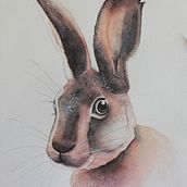 Mi Proyecto del curso: Técnicas experimentales de acuarela para principiantes . Traditional illustration, Fine Arts, Watercolor Painting, and Naturalistic Illustration project by Liliana Medici - 07.25.2021