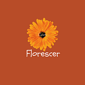 Meu projeto do curso: Projeto Florescer. Un progetto di Br, ing, Br, identit, Graphic design e Design di loghi di Loren Almeida - 23.07.2021