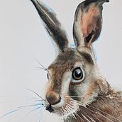 My project in Experimental Watercolor Techniques for Beginners course. Traditional illustration, Fine Arts, Watercolor Painting, Naturalistic Illustration, and Painting project by Piyali Das - 07.25.2021