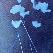 My project in Cyanotype: Printing with Light course. Arts, Crafts, Fine Arts, Printing, DIY, and Film Photograph project by Adrian Fingleton - 07.26.2021