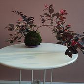 Il mio progetto del corso: Kokedama: crea una fioriera naturale con il muschio. Arts, Crafts, Interior Design, L, scape Architecture, Decoration, and DIY project by koke_natural_dama - 07.26.2021