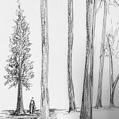 Mi Proyecto del curso: Dibujo para principiantes nivel -1. Pencil Drawing, Drawing, Creating with Kids, and Sketchbook project by Yolanda Torres Navarro - 07.26.2021