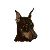 Retratos artísticos de mascotas. Traditional illustration, Color Theor, Digital Painting, Sketchbook, Artistic Drawing, Realistic Drawing, Portrait Drawing, Concept Art, Digital Illustration, Drawing, Creativit, Sketching, and Fine Arts project by Frank Bready Trejo - 07.27.2021