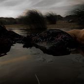 Sumergida. Photograph, Stor, telling, Fine-Art Photograph, and Narrative project by Vera Lecko - 07.28.2021