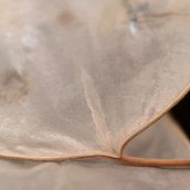 Mi Proyecto del curso: Fotografía con luz natural: UNISONO - Diego Petrilli . Fotografi, Pencaha, aan Fotografi, Fotografi Digital, Retouching Foto, Fotografi Mode, Fotografi Ga, Dan a Hidup proyek oleh Diego Petrilli - 07.28.2021