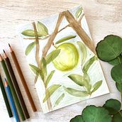 Green apple. Un progetto di Illustrazione tradizionale, Pittura, Disegno, Pittura ad acquerello, Illustrazione con inchiostro e Illustrazione naturalistica di queeuee - 29.07.2021