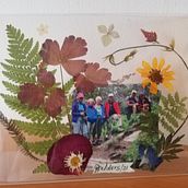 De paseito!!! . Un proyecto de Ilustración naturalista				 de Zulma Guiral - 21.07.2021