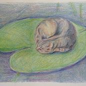 My project in Surrealist Illustration Inspired by Nature course. Traditional illustration, Pencil Drawing, Drawing, Artistic Drawing, and Naturalistic Illustration project by Agni Kuokkanen - 07.28.2021