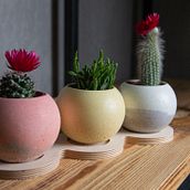 My project in Concrete Furniture Creation for Beginners course. Arts, Crafts, Furniture Design, Making, Interior Design, Interior Decoration, and DIY project by Alexandra Kim - 07.29.2021