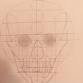 Mi Proyecto del curso: Dibujo anatómico de la cabeza humana. Fine Arts, Pencil Drawing, Drawing, Portrait Drawing, Realistic Drawing, and Figure Drawing project by sara12 - 07.29.2021