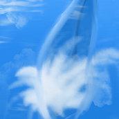 Ballena colorida. Traditional illustration project by mmacsc2016 - 12.27.2020