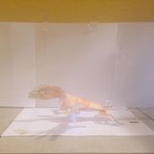 Sinornithosaurus. Een project van Traditionele illustratie van John G - 31.07.2021