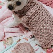 Roupinha para a minha chihuahua. Un proyecto de Crochet de Luiza - 01.08.2021