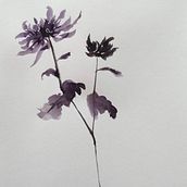 Mi Proyecto del curso: Introducción a la pintura sumi-e. Traditional illustration, Drawing & Ink Illustration project by Pilar Hinojosa - 08.01.2021