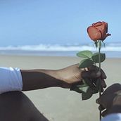 My Roses. Filmmaking project by Ruben Morgado - 08.01.2021