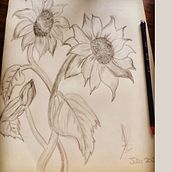 A través de los años. Un progetto di Disegno artistico, Disegno e Disegno a matita di Alicia Torales - 01.08.2021