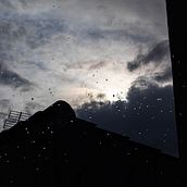 Las Sombras de la Luz. Un proyecto de Fotografía, Fotografía digital, Fotografía artística y Fotografía en exteriores de Alfonso Jesús Otero Angulo - 01.08.2021