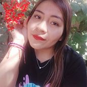 Mi Proyecto del curso: Fotografía y vídeo profesional con tu móvil Ein Projekt aus dem Bereich Smartphonefotografie, Instagram, Fotografie für Instagram, Lifest und le-Fotografie von Elizabeth Mamani Quispe - 02.08.2021