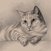 My paints. Watercolor Painting, Digital Drawing, Digital Painting, and Pencil Drawing project by Laura Magnani - 08.02.2021