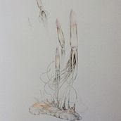 Il mio progetto del corso: Illustrazione surrealista ispirata alla natura. Traditional illustration, Pencil Drawing, Drawing, Artistic Drawing, and Naturalistic Illustration project by lavval - 08.03.2021