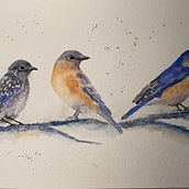 My project in Artistic Watercolor Techniques for Illustrating Birds course . Ilustrație tradițională, Pictură în acuarelă, Desen realist & Ilustrație naturalistă de Carmen Fischer - 08.03.2021