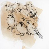 Ink. Traditional illustration project by Mateja Pivk - 08.02.2021