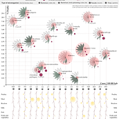 Mi Proyecto del curso: Visualización de datos y diseño de la información: crea un modelo visual. Information Design, Interactive Design & Infographics project by iolanda_rose_22 - 08.03.2021