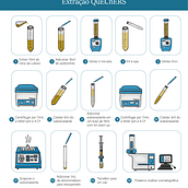 Infográfico para TCC "Avaliação da degradação de benzo[a]pireno in vitro utilizando fungos filamentosos isolados de fazenda de lodo ativado". Ilustração tradicional projeto de Melissa Alves - 30.07.2021