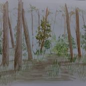 Mi Proyecto del curso: Paisajes naturales en acuarela. Fine Arts, Painting, and Watercolor Painting project by Cristhian Rojas Granados - 07.31.2021