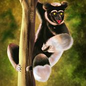 Ditgital Illustration of an Indri. Digital Painting, Digital Drawing, and Character Design project by Ryiah Art - 04.15.2021