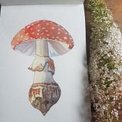 Mein Kursprojekt: Illustration natürlicher Elemente mit Aquarell. Traditional illustration, Watercolor Painting, and Naturalistic Illustration project by Anica W. - 08.05.2021