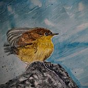 Mi Proyecto del curso: Acuarela artística para ilustración de aves. Un proyecto de Ilustración tradicional, Pintura a la acuarela, Dibujo realista e Ilustración naturalista				 de Zaida Olvera - 05.08.2021
