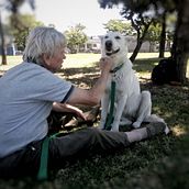 Mi Proyecto del curso: Fotografía lifestyle de perros. Un projet de Photographie, Photographie de portrait, Photographie pour Instagram, Photographie documentaire, Photographie lifest , et le de Lorena Oyarzabal - 05.06.2021