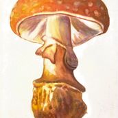 Mi Proyecto del curso: Ilustración de elementos naturales en acuarela. Traditional illustration, Watercolor Painting, and Naturalistic Illustration project by Osvaldo Hurtado - 08.05.2021