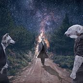 Reunión en el bosque. Photograph, Photo Retouching, Fine-Art Photograph, Photographic Composition, Photomontage, and Traditional illustration project by Roberto Garcia - 08.06.2021
