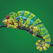 Low Poly Chameleon . Traditional illustration, and Design project by stevieverweijmeren - 08.06.2021