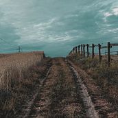 Newsletter Perdi o bonde e a esperança. Un proyecto de Escritura, Cop, writing, Creatividad, Stor, telling, Comunicación, Sketchbook y Narrativa de Suellen Rubira - 06.08.2021