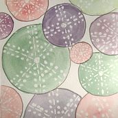 Sea Urshins . Un projet de Illustration traditionnelle, Aquarelle et Illustration naturaliste de emilietaglang - 06.08.2021