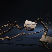 Cogoyo. Br, ing, Identit, Design, Graphic Design, and Logo Design project by Virginia Herrera Cetina - 11.27.2017