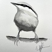 My project in Artistic Watercolor Techniques for Illustrating Birds course. Traditional illustration, Watercolor Painting, Realistic Drawing, and Naturalistic Illustration project by mike_38 - 08.06.2021