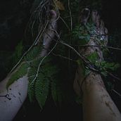SIMBIOSI. Photograph, Photograph, Post-production, Creativit, Portrait Photograph, and Fine-Art Photograph project by Manuela Donato - 08.07.2021
