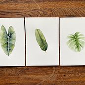 Mon projet du cours : Aquarelle botanique pour la création d’imprimés. Ilustração tradicional, Pattern Design, Pintura em aquarela e Ilustração botânica projeto de sophie_bauer0711 - 06.08.2021